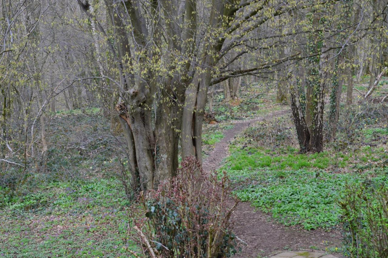 Oasis Verte Kelmis Buitenkant foto